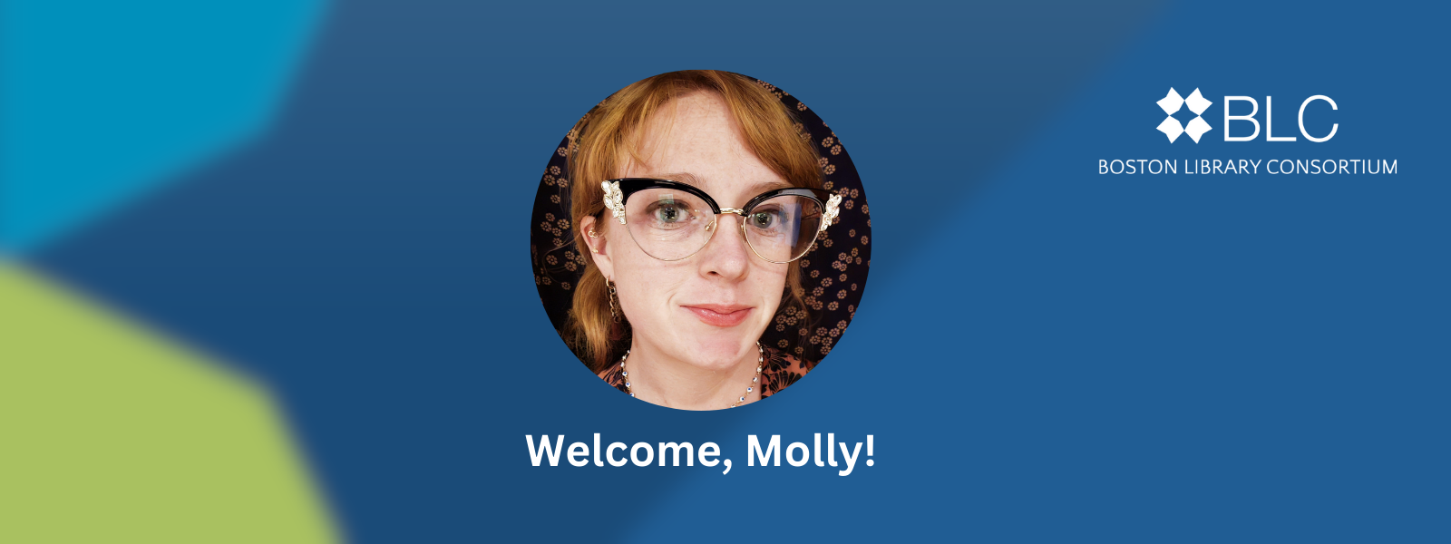 Boston Library Consortium Appoints Molly Rainard as Inaugural Program ...